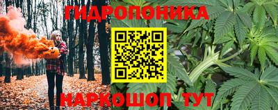 крисы Краснодар