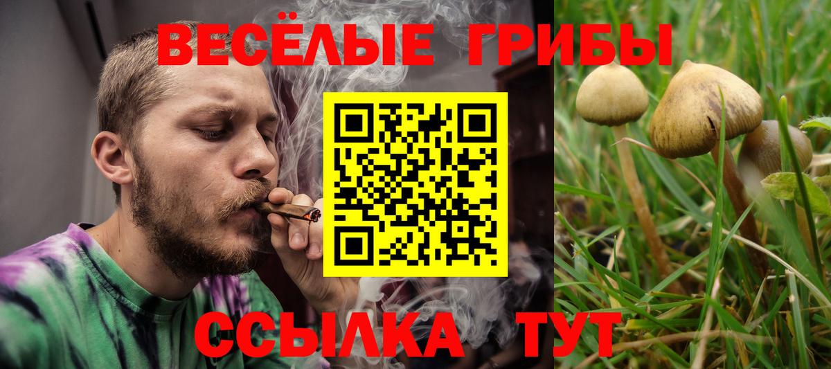 Химки  Псилоцибиновые грибы MAGIC MUSHROOMS  Вход с VPN 