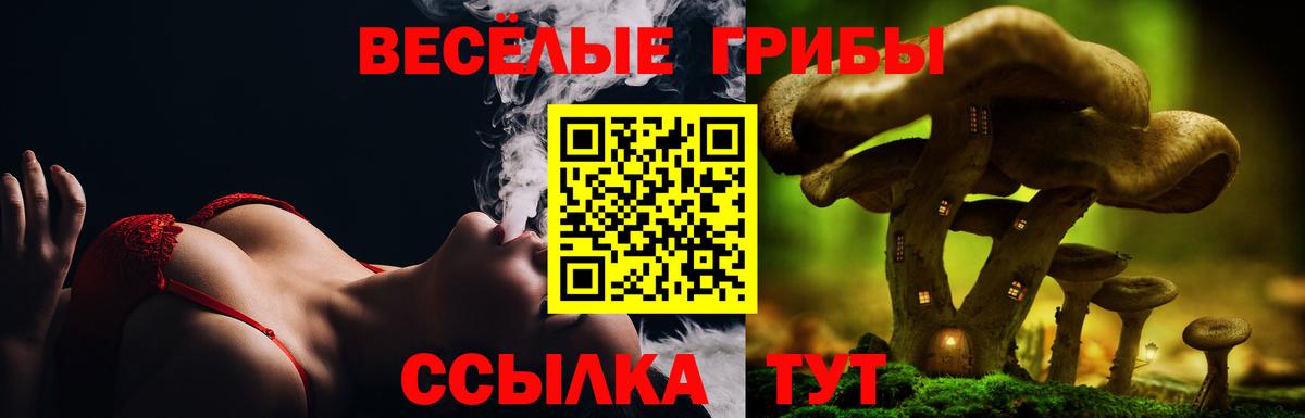Галлюциногенные грибы ЛСД Химки